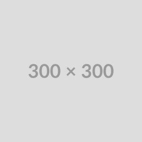Premium quality images showcasing craftsmanship and attention to detail.